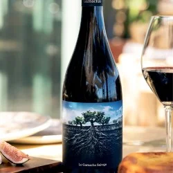 La Garnacha Salvaje del Moncayo 2022